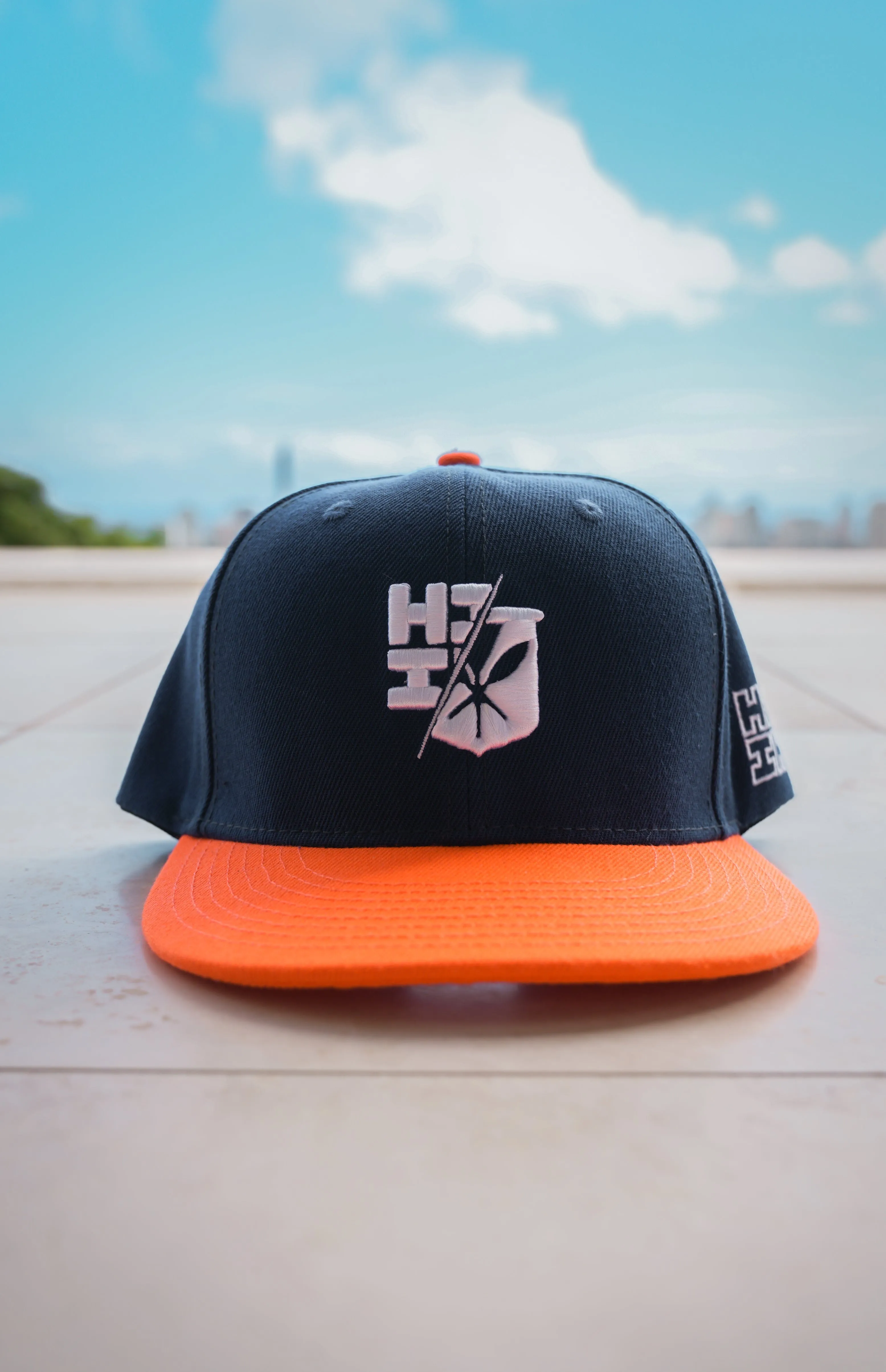 HAWAII SPORTS COLLECTOR SPLIT LOGO HAT