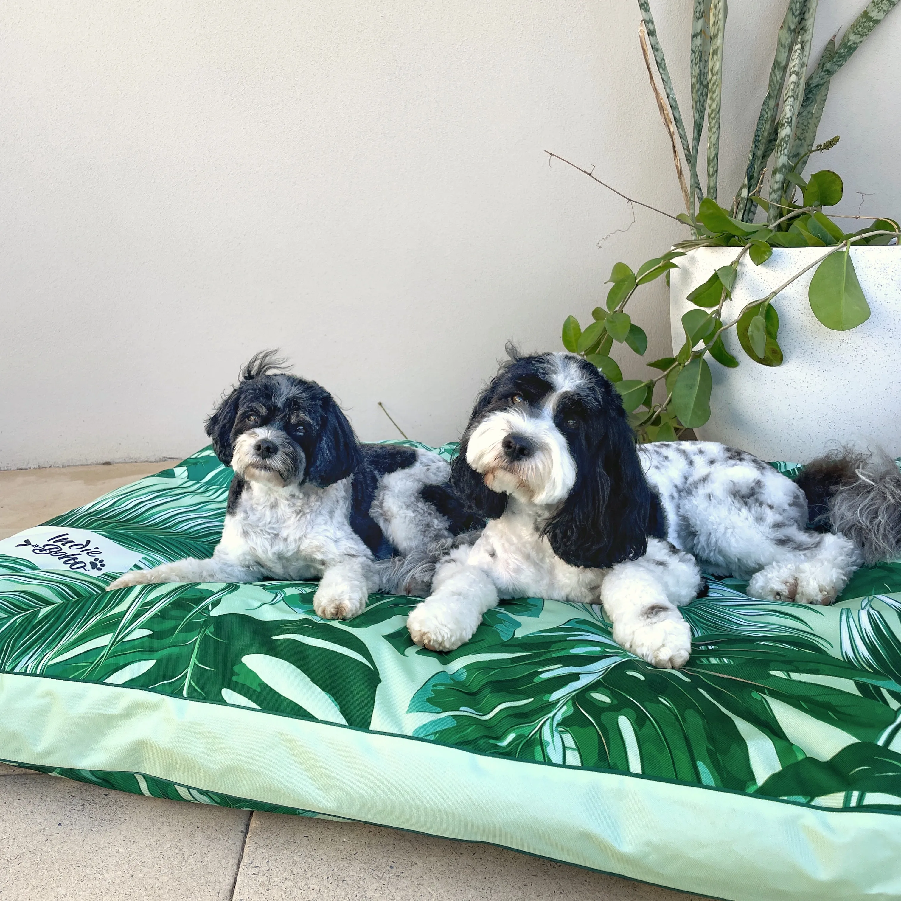 Tropical Leaves Water-Resistant - XXL Dog Bed